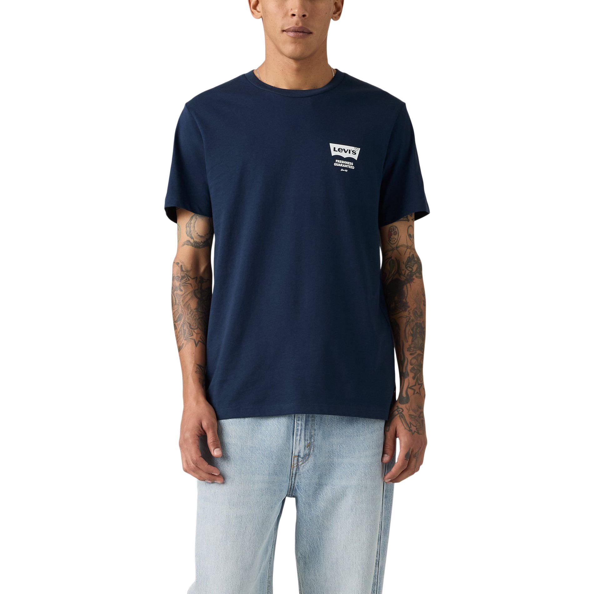 levi-s-men-s-paisley-stripe-graphic-t-shirt-710e08fc-17f0-40aa-b315-d955bc3e6084-jpgrendition