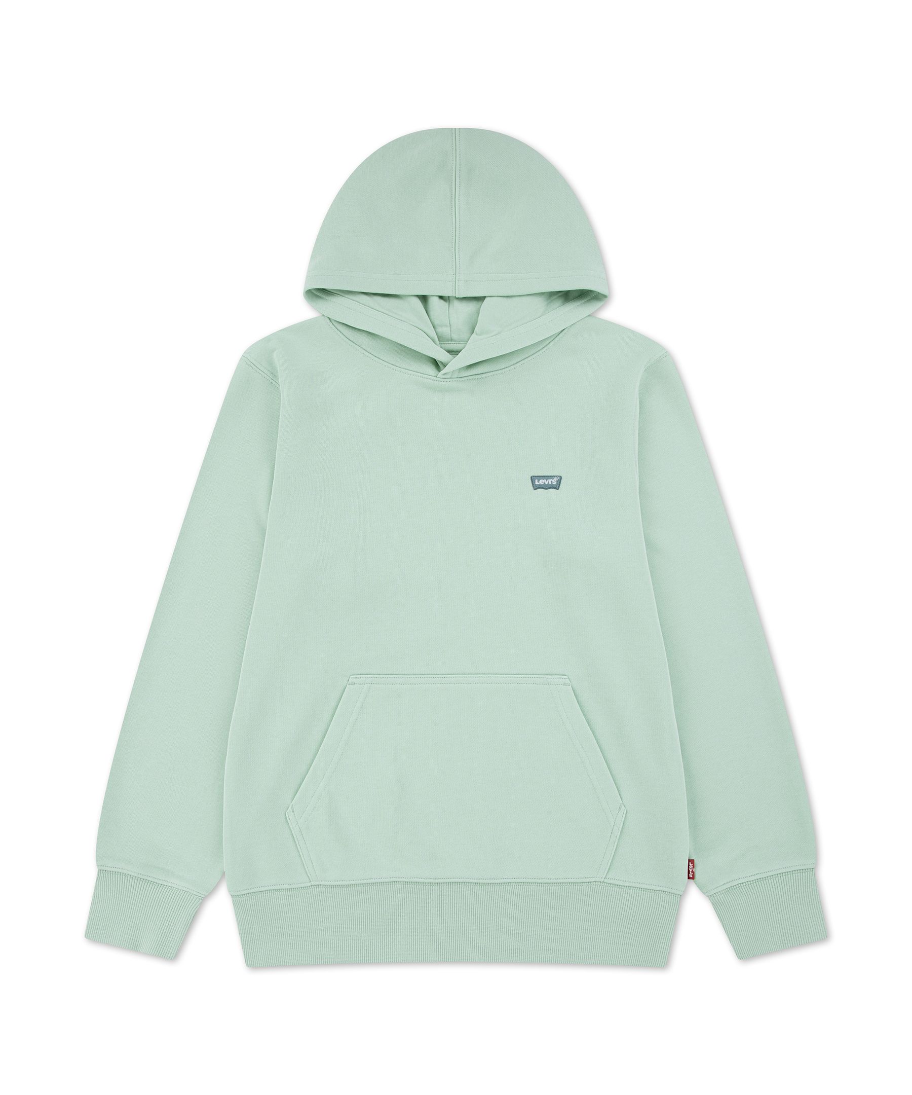 levi-s-youth-boys-mini-batwing-pullover-hoodie-1d228e09-2beb-4335-9dd6-8c62daa99a77-jpgrendition